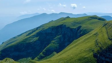 Fromages livrés à domicile
